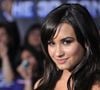 A primeira vez que Demi Lovato usou cocaína foi aos 17 anos; hoje cantora está sóbria