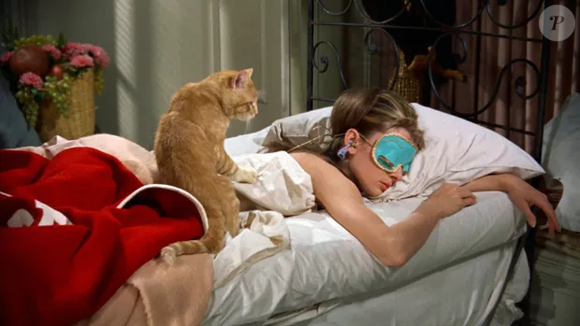 Num mundo barulhento e acelerado, escolher a calma e o conforto de casa pode ser um sinal de maturidade emocional, e não de afastamento social