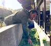 Aos 63 anos, Marcos Palmeira transforma fazenda degradada em Teresópolis, recupera nascentes e prepara 1,3 milhão de m² para receber 200 mil árvores da Mata Atlântica