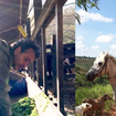 Aos 63 anos, Marcos Palmeira transforma fazenda degradada em Teresópolis, recupera nascentes e prepara 1,3 milhão de m² para receber 200 mil árvores da Mata Atlântica