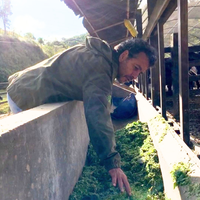 Aos 63 anos, Marcos Palmeira transforma fazenda degradada em Teresópolis, recupera nascentes e prepara 1,3 milhão de m² para receber 200 mil árvores da Mata Atlântica