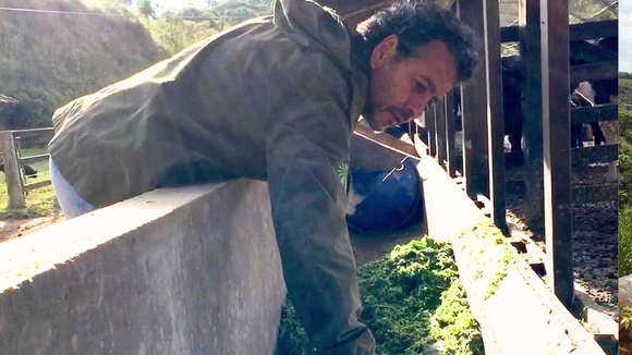 Aos 63 anos, Marcos Palmeira transforma fazenda degradada em Teresópolis, recupera nascentes e prepara 1,3 milhão de m² para receber 200 mil árvores da Mata Atlântica