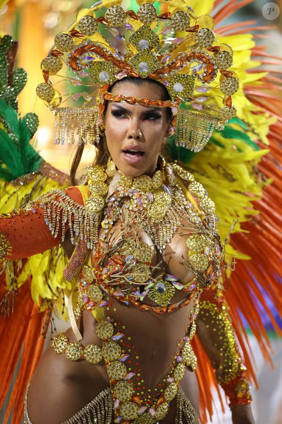 Polêmica no Carnaval do Rio: musa da Acadêmicos de Niterói fala sobre briga interna momentos antes do desfile