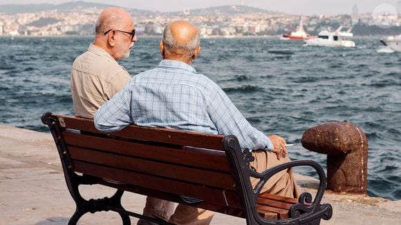 O último Mercer CFA Institute Global Pension Index, ranking que compara 52 sistemas previdenciários ao redor do mundo, colocou a Holanda novamente em primeiro lugar com 85,4 pontos em 100