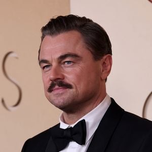 Comprada por Leonardo DiCaprio em 2005, Blackadore Caye ainda não teve o projeto de transformação ambiental completamente concluído