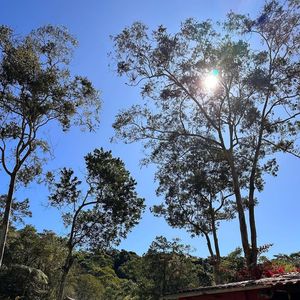 Durante a pandemia, Marcello Novaes passou dois anos isolado em seu sítio em Teresópolis e decidiu transformar o local em seu principal refúgio de descanso e bem-estar