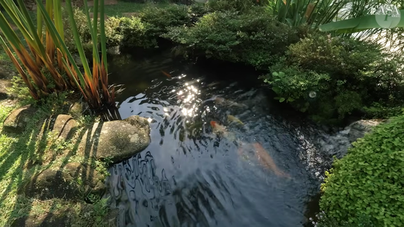 Ronnie Von cria carpas em um lago natural na parte externa de sua casa