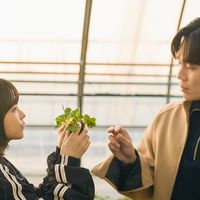 Cansada de clichês? Estes 7 doramas são absurdamente realistas e vão te fazer refletir sobre a própria vida neste fim de semana