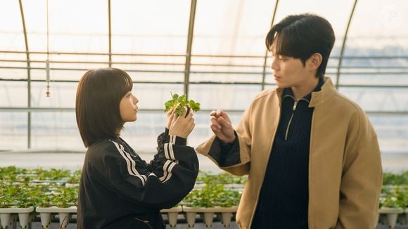 Cansada de clichês? Estes 7 doramas são absurdamente realistas e vão te fazer refletir sobre a própria vida