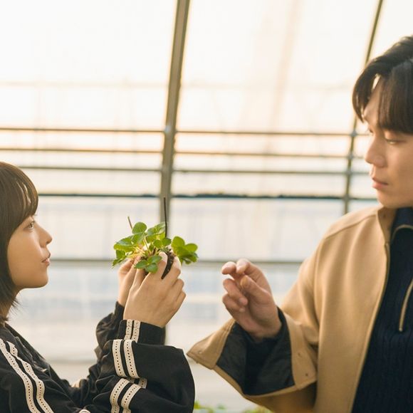 Cansada de clichês? Estes 7 doramas são absurdamente realistas e vão te fazer refletir sobre a própria vida neste fim de semana