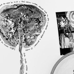 Lexa anunciou a morte da filha Sofia nesta segunda-feira, dia 10 de fevereiro