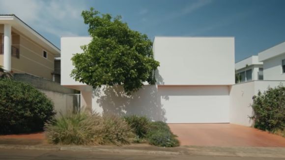 Hoje fora da Globo, jornalista de 58 anos tem mansão de luxo milionária de 500m² como exuberante refúgio sustentável; árvore nativa do Cerrado é 'principal moradora'