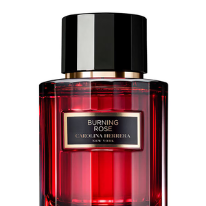 Burning Rose (Carolina Herrera) - 100ml | R$ R$ 1.556,10 - p ara quem gosta de intensidade, é uma escolha marcante. Pimenta preta, gengibre e noz abrem a composição, seguidos por rosa damascena e canela. No fundo, patchouli, mirra e incenso criam uma base envolvente. Um perfume ousado, que traduz bem os momentos mais dramáticos da personagem