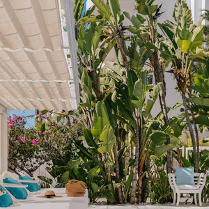 MiM Ibiza Es Vivé, hotel de Lionel Messi na Espanha, reúne luxo, festas sunset e experiência premium para turistas milionários