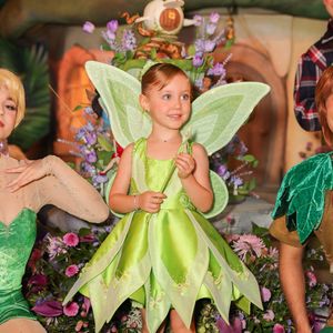 Vicky, filha de Roberto Justus e Ana Paula Siebert, apareceu vestida de Sininho na festa