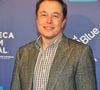 Elon Musk é um bilionário super excêntrico que tem 14 filhos no total