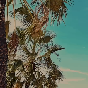 Ivete Sangalo construiu uma residência às margens do Rio São Francisco, o maior totalmente brasileiro, com 2.914 km de extensão