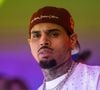 Chris Brown na Justiça: ex-empregada atacada por cachorro de 90 kg do cantor pede R$ 465 milhões em indenização, mas receberá quantia 85,5% menor