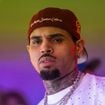 Chris Brown na Justiça: ex-empregada atacada por cachorro de 90 kg do cantor pede R$ 465 milhões em indenização e ganha direito a quantia 85,5% menor