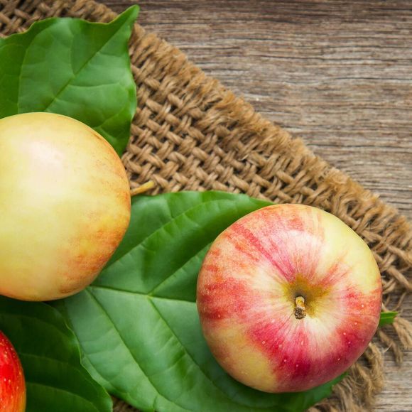 A maçã é rica em pectina, uma fibra solúvel que ajuda a eliminar resíduos e metais pesados antes que cheguem ao fígado