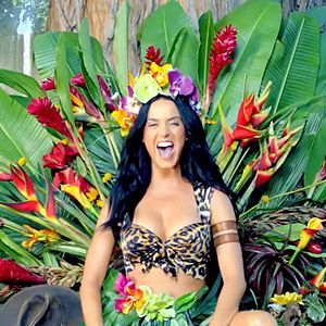 Além de Katy Perry, a carta enviada a Joe Biden em 2021 reuniu artistas como Leonardo DiCaprio, Joaquin Phoenix, Mark Ruffalo, Roger Waters, Caetano Veloso, Gilberto Gil, Marisa Monte, Sonia Braga e Wagner Moura em uma mobilização pela proteção da Amazônia e pelos direitos dos povos indígenas