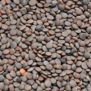 Lentilhas carecem de metionina, um aminoácido essencial, que o arroz tem e em boa quantidade. Por isso, a combinação é recomendada