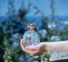 Assinado pelo perfumista internacional Christian Alori, o Floratta Blue Crystal tem como destaque o exclusivo Acorde Crystal Flower, que une o frescor da Flor de Alecrim ao conforto do Musk