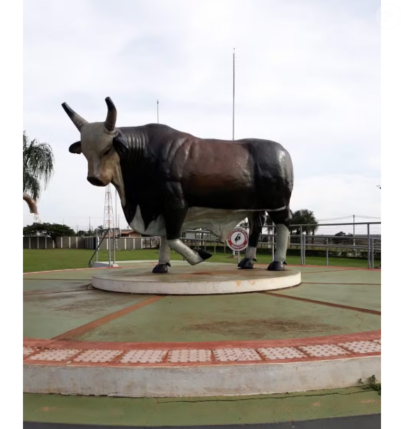 Touro Bandido ganhou homenagem em Barretos
