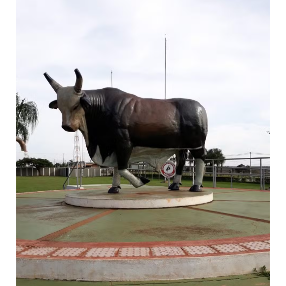 Touro Bandido ganhou homenagem em Barretos