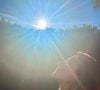 Gisele Bündchen publicou imagens da festa em seu perfil do Instagram e apareceu contemplando o sol