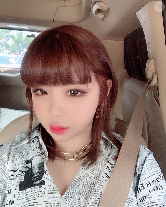 Em fóruns online, o nome de Park Bom passou a ser constantemente citado