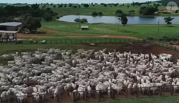 O investimento de Amado Batista no setor agropecuário possui números impressionantes