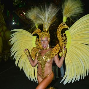 Carnaval 2026: Mariana Goldfarb apareceu com um costeiro volumoso