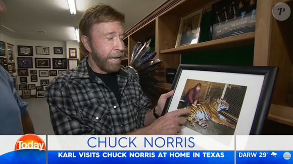 O museu instalado na propriedade funciona como um verdadeiro arquivo vivo da trajetória de Chuck Norris. No espaço, são preservados itens que relembram sua carreira no cinema e na televisão, incluindo produções icônicas e momentos marcantes de sua vida como lutador e ator
