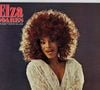 Elza Soares já era puro impacto visual nos anos 80, combinando cabelos volumosos, rendas, brilho e uma personalidade impossível de ignorar