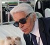 É normal que um gato apresente mudanças de comportamento quando saímos de férias, mas isso não significa que ele tenha se esquecido de nós: trata-se apenas de uma reação à nossa ausência