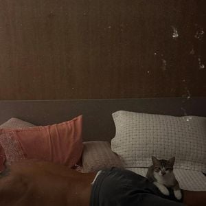 Mel Maia e professor de boxe Luan Medeiros juntos? Rumores começaram depois que a atriz postou foto de homem na cama, e ele passou a ser apontado como essa pessoa