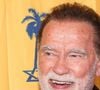 Terreno de 16 hectares que pertencia a Arnold Schwarzenegger passou a integrar o projeto da Backbone Trail, importante trilha nas montanhas de Santa Monica