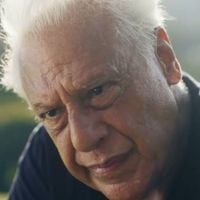 Nem Pilar, nem Diná: nova suspeita pela morte de Arthur em 'Quem Ama Cuida' tem segredo revelado; atriz já viveu romance com Antonio Fagundes em outra novela