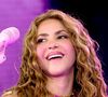 3 experiências de luxo e bem-estar que Shakira pode ter no Copacabana Palace antes do show no Rio, com detalhes e valores