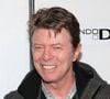 David Bowie alcançou a fama em 1972 com o disco 'The Rise and Fall of Ziggy Stardust and the Spiders from Mars'. Cantor morreu em 2016