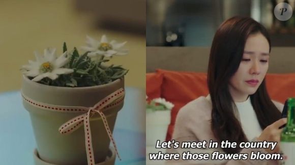 A flor BT Ice Gloss se conecta de forma surpreendente com o dorama 'Pousando no Amor'