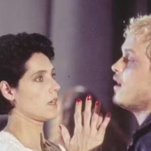 Christiane Torloni acreditava que A Viagem seria uma novela de comédia