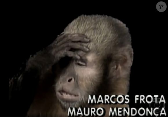 Macaco-prego aparecia na abertura da novela 'Mico Preto' e gerou revolta do procurador federal da República em São Paulo e de grupo ambientalista: 'Veicular a imagem de um macaquinho de chapéu e colete é uma catástrofe em termos ambientais'
