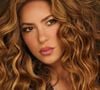 Segundo Shakira, o mercado ignorou a diversidade dos cabelos latinos — lisos, ondulados, cacheados ou crespos — e ela queria preencher esse vazio com soluções eficazes, nutritivas e específicas.