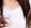 Cabelo fino e queda capilar? Descubra os benefícios do louro para a saúde do couro cabeludo