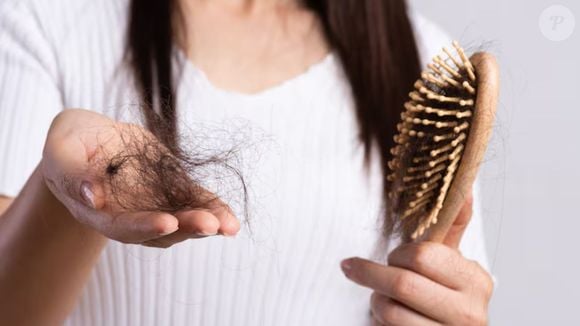 Cabelo fino e queda capilar? Descubra os benefícios do louro para a saúde do couro cabeludo