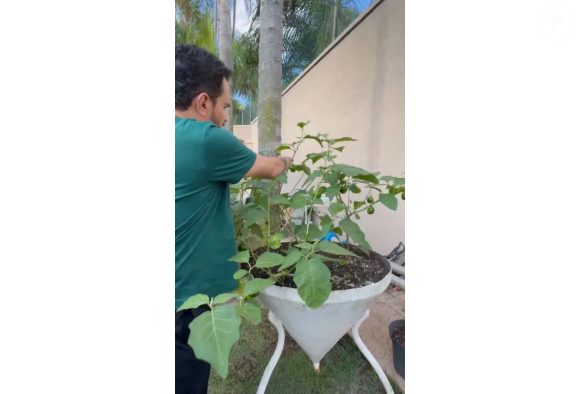 Luciano Camargo gosta de plantar em sua mansão em Alphaville