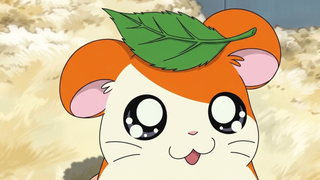 Antes eu achava que eram só tênis de academia, agora os uso até para trabalhar: são da marca suíça lançada em 2010 na cor 'Hamtaro' e despertaram a nostalgia do anime que eu amava ver antes de ir para a escola