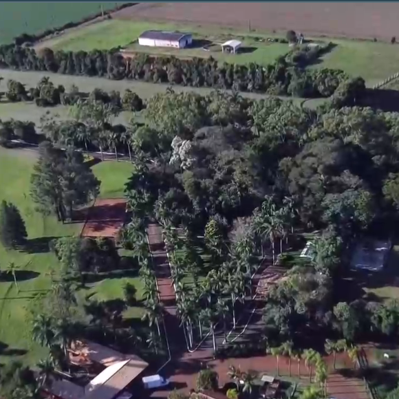 Rancho de Ana Castela já apareceu na TV no 'Domingo Legal'